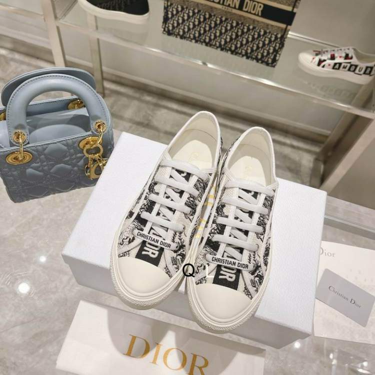 Picture of Dior Shoes _SKUDiorsz35-41LL06293878